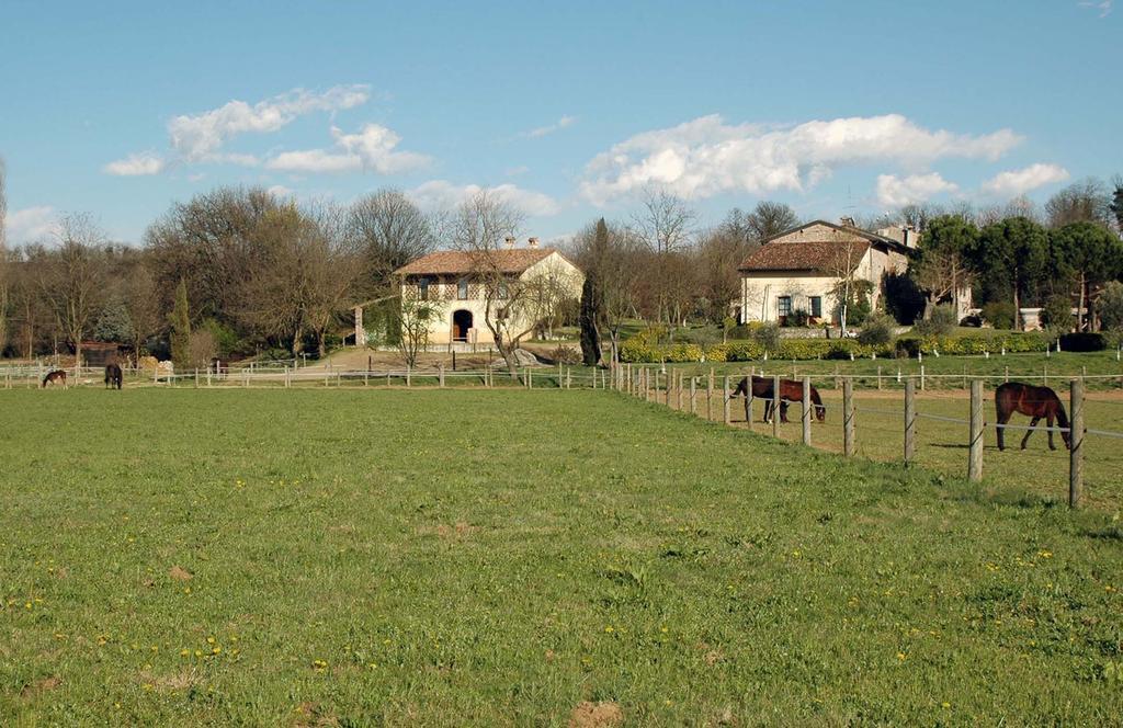 Agriturismo Trebisonda Country Resort Monzambano Eksteriør bilde
