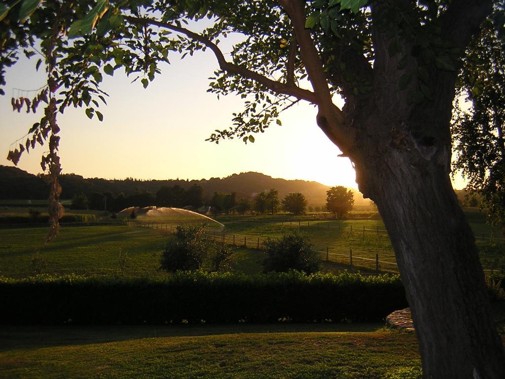 Agriturismo Trebisonda Country Resort Monzambano Eksteriør bilde